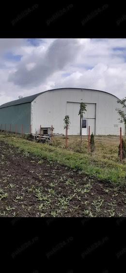 Inchiriez Hala 300 mp,cu elevatoare,canal,aparate vulcanizare - 3