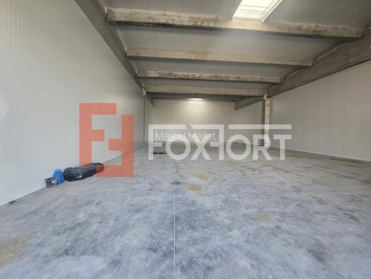 Spațiu industrial, 524 mp în Sânandrei