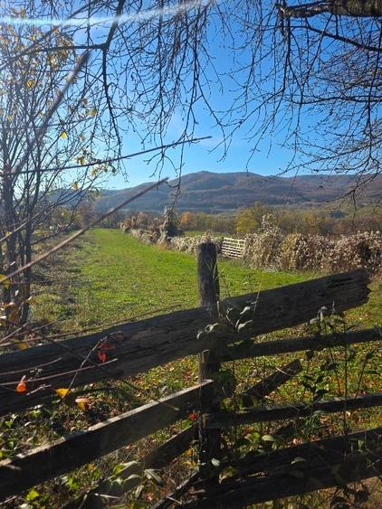 Teren intravilan in Buzau, sat Tega, 3300 mp - 5