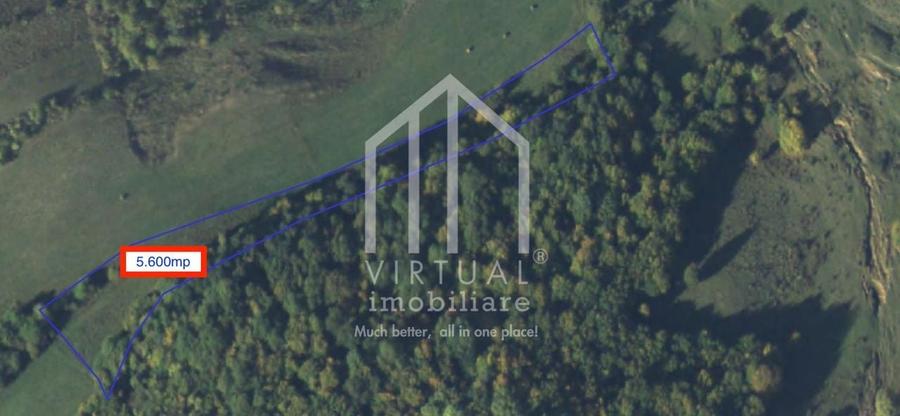 Teren extravilan de vanzare 15,600 mp zona loc... Hamba - 6