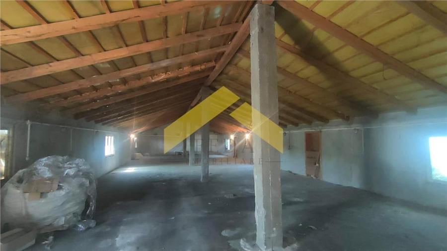 Teren 1,8 ha plus cladiri de vanzare in localitatea Sebis, Arad - 9