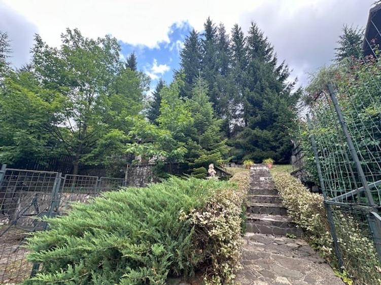 Azuga - Strada Garbovei - 4