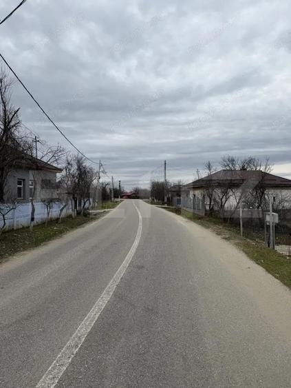 Casa pe parter, 115 mpc, 4505 mp teren, Bogea-Almaj - 2