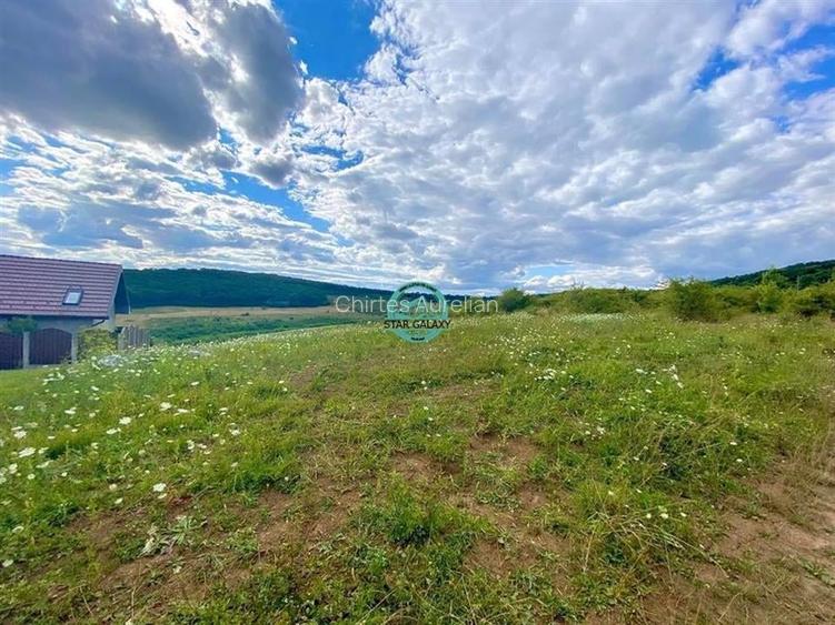 Vand teren intravilan cu suprafata 3300 mp in Livezeni