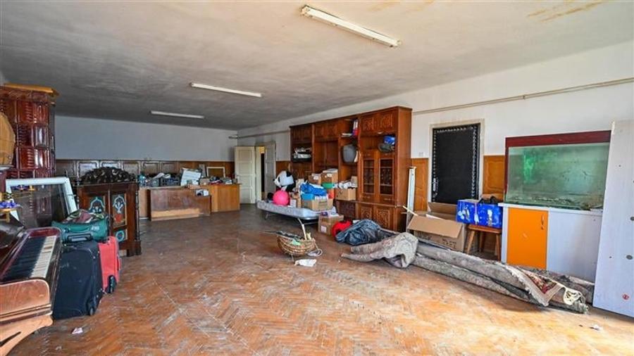 Ansamblu agrozootehnic cu renume,dotat +valoare exceptionala+potential versatil, - 42