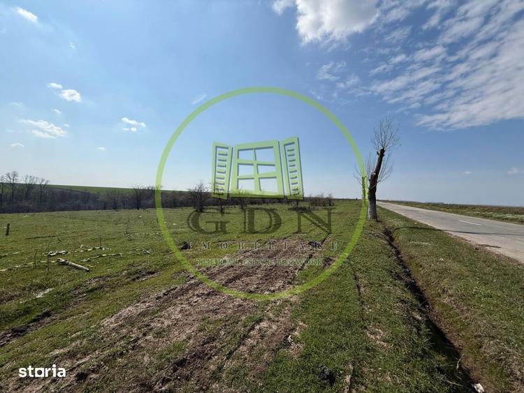 Teren intravilan 2500 mp, Bucovat - 1