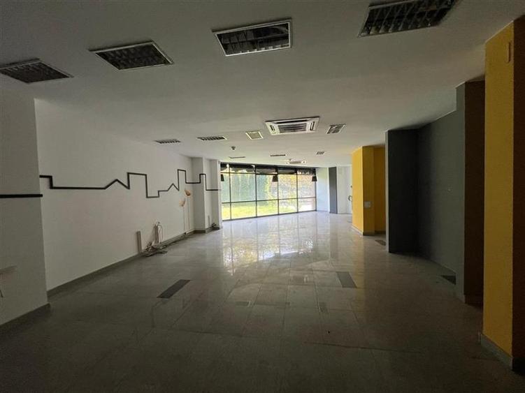 Vanzare Spatiu comercial stradal - Parter si Mezanin - 900 mp - 14