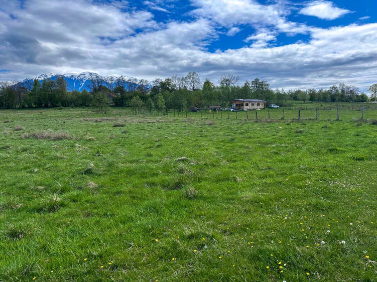 Teren Bran Zarnesti 3 km Castelul Bran 25 km Brasov - 2