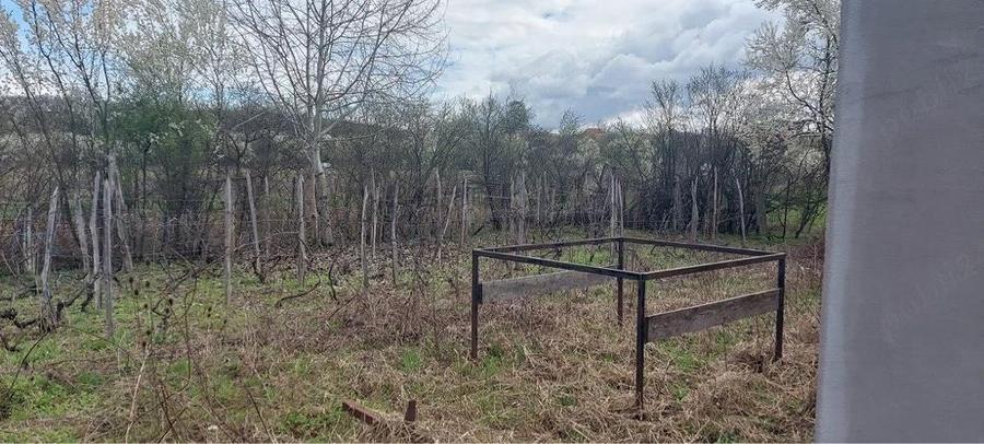 Casa + Hala de vanzare - 3