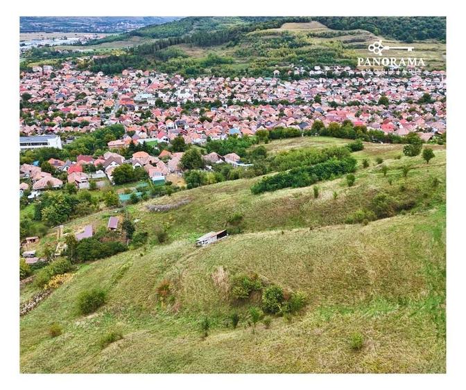 Teren intravilan de aproape 3 ha la liziera pădurii | cartierul Gloria - 6