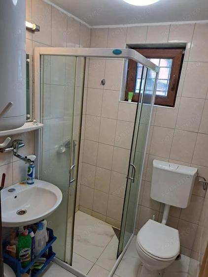 Cabana in mijlocul naturii, de vanzare, zona Lunca Bradului - Salard - 5