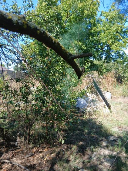 Casa cu teren mare in Bolintin Deal - 8