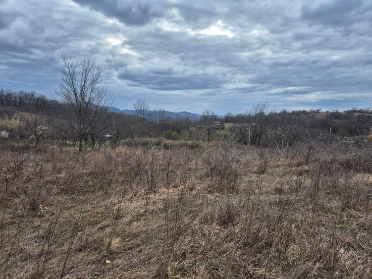 Teren agricol extravilan de 11400 mp, în Iabalcea