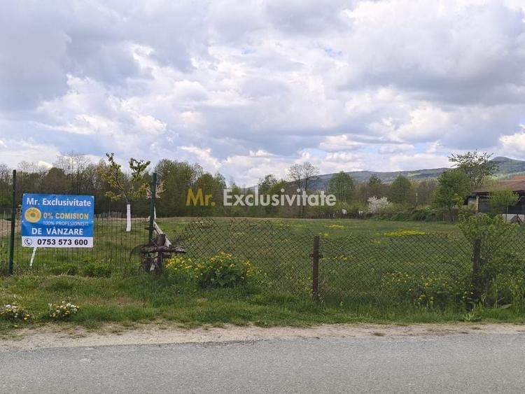 Teren Construcții intravilan de 19209 mp, în Crasna