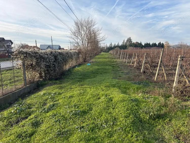 Casă cu Teren 53000 Mp în Călinești