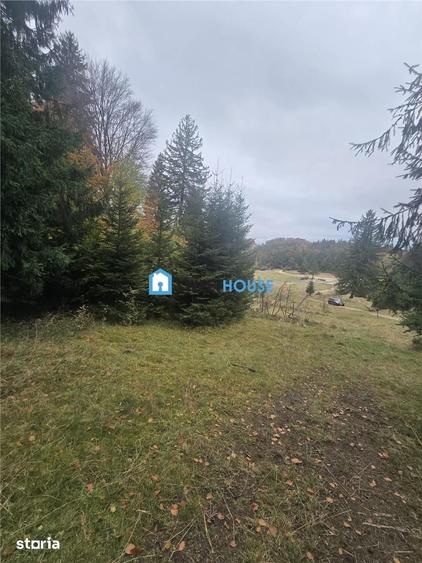 Teren de 1000 mp, în Central