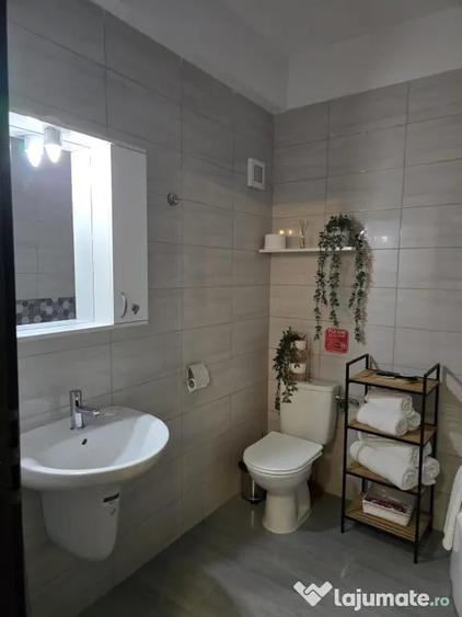 Apartament cu 2 camere decomandat în Roșu