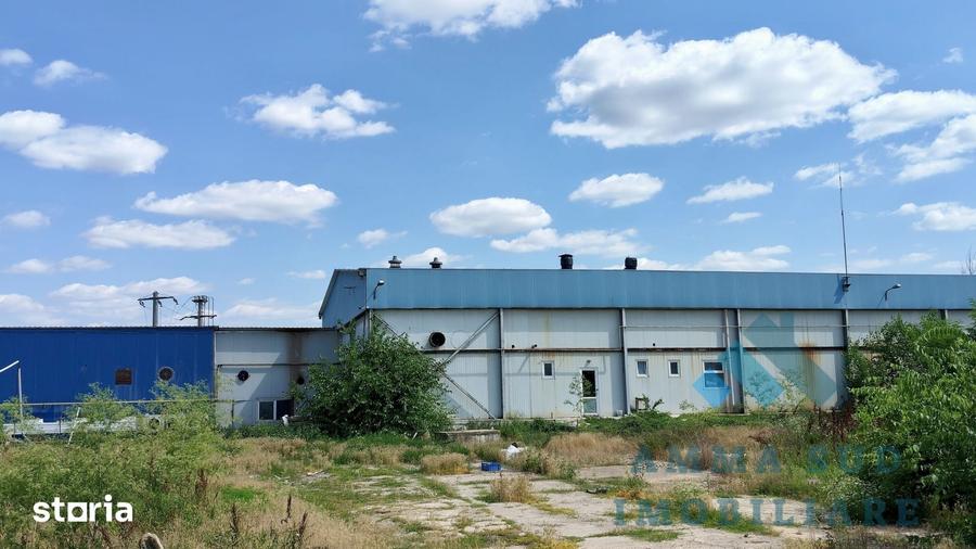 Hala Productie Abator - 1.000 mp - 5.000 mp teren - Sos. Oltenitei DN4 - 13