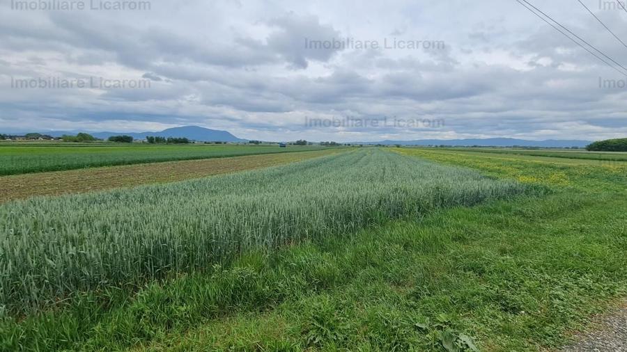 Teren Stupini Calea Feldioarei 4600 mp,21 euro/mp, front la asfalt - 4