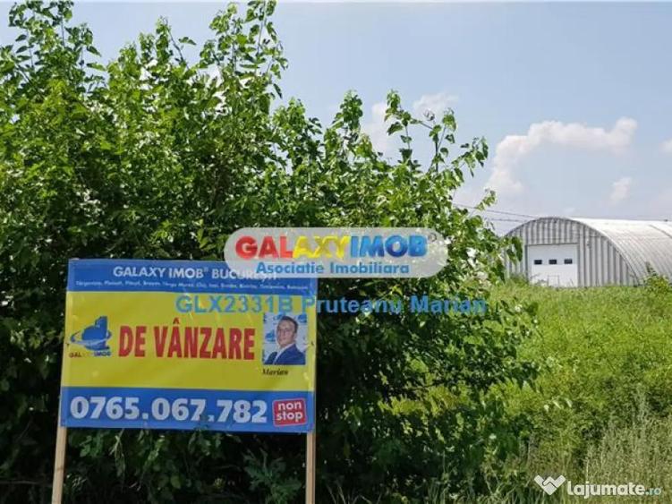 Lot teren de 8300 mp foarte aproape de Therme Balotesti-Oto - 6