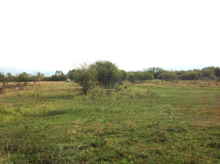 Teren extravilant Negresti-Oas - 7