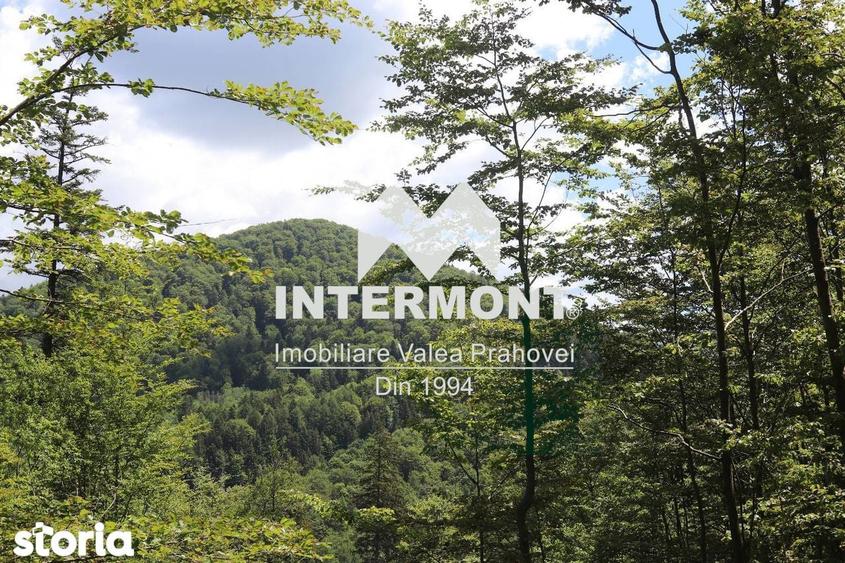 Teren Sinaia Zona Centrala, 500mp, Vedere Montana, Toate Utilita?ile - 9