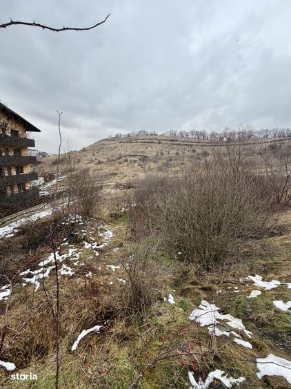 Teren de 679 mp zona Stejarului, Floresti - 1