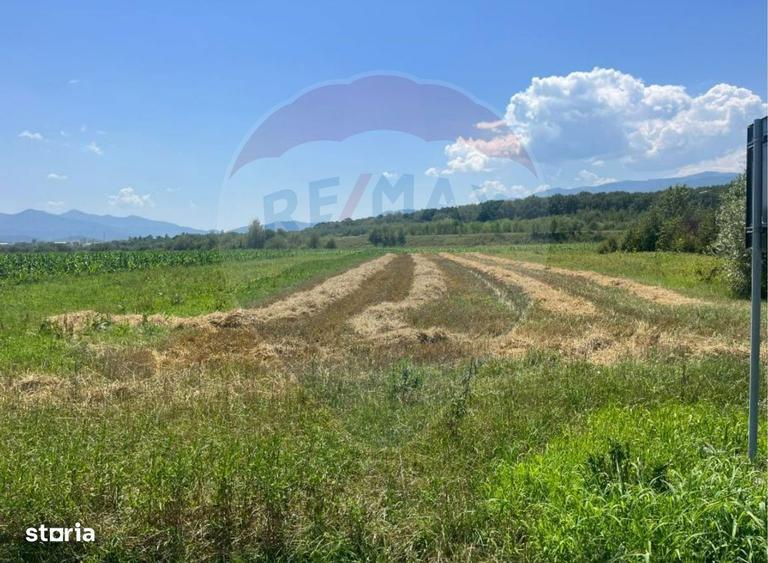 Teren pentru Dezvoltare 14.800 mp -Vestem - 3