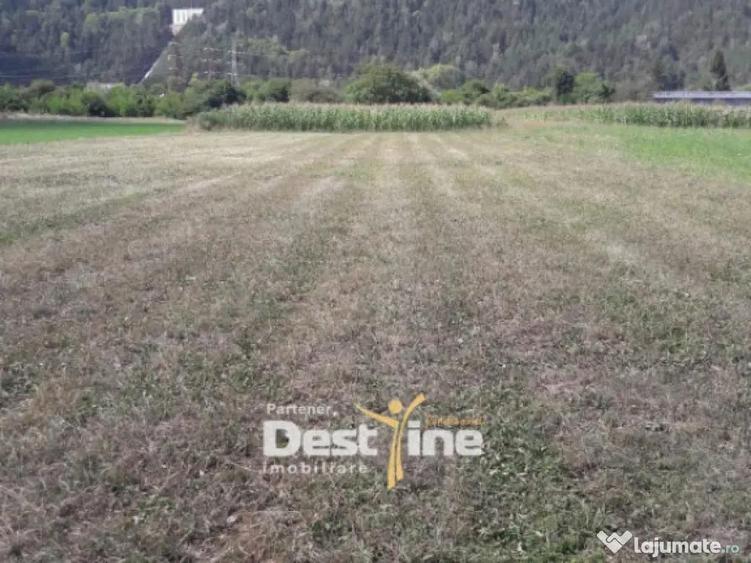 Teren de vanzare Pangarati 58.500 Euro 4488mp Intravilan - 2