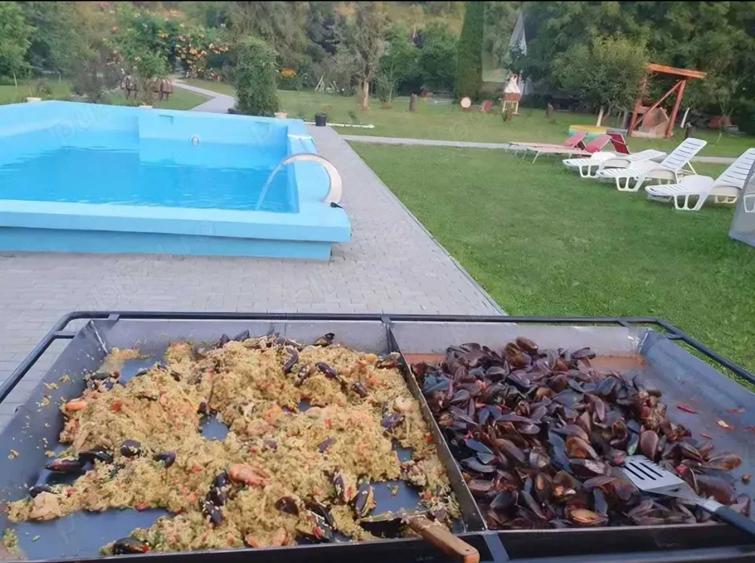 Vanzare proprietate in comuna Braniste - 4