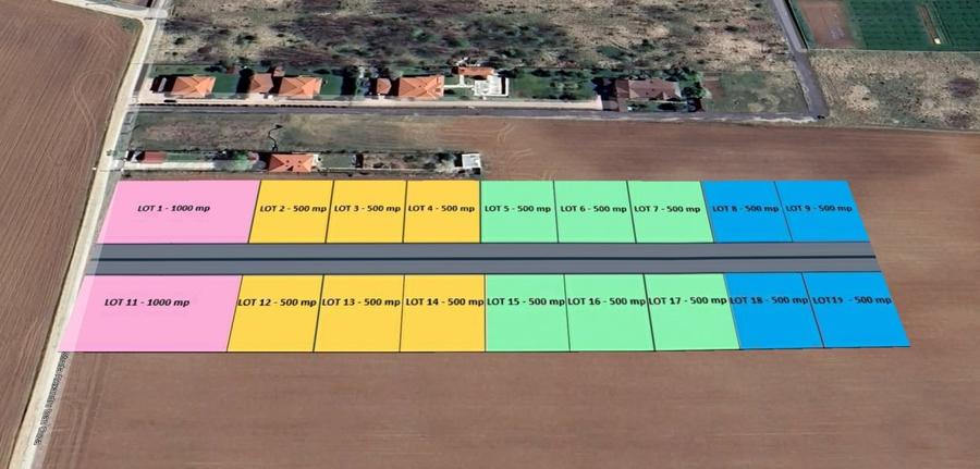 The Forest Collection -LOT 970mp- Strada asfaltata | Padurea Snagov -Ciofliceni - 2