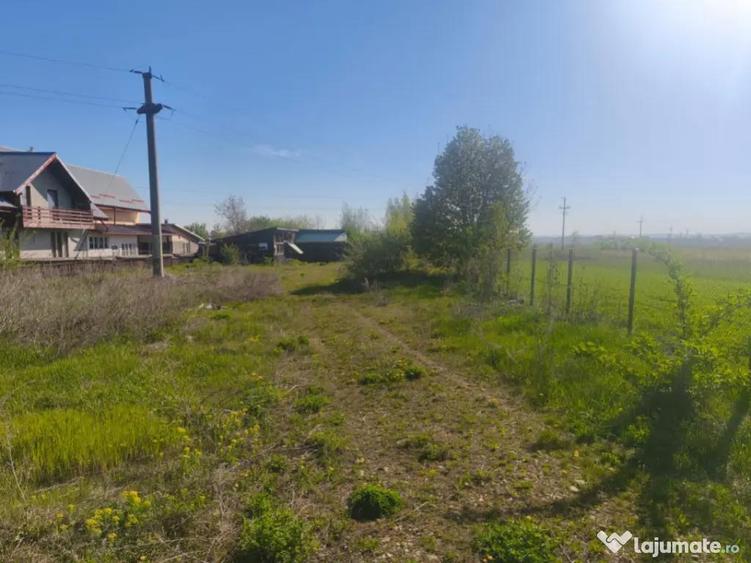 Teren intravilan, 2500mp, front 20ml, Radauti - 2
