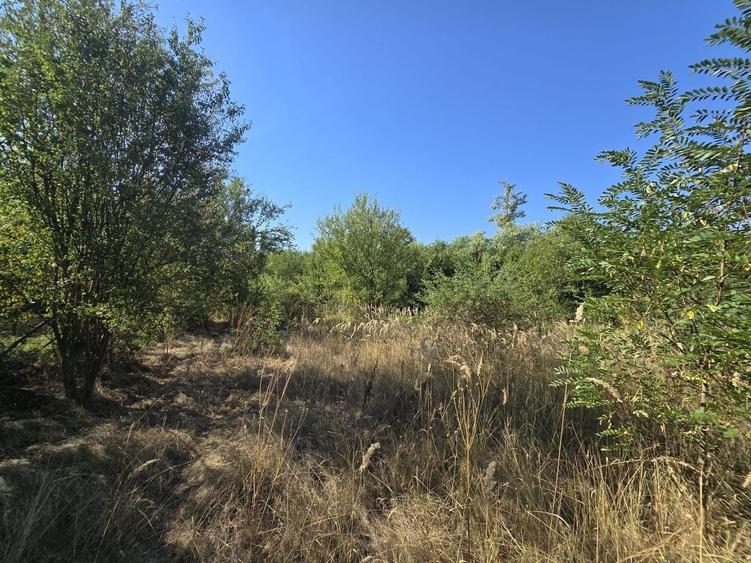 Terenuri intravilane de vânzare| Ciolpani |Acces rapid DN1 & A0 - 1