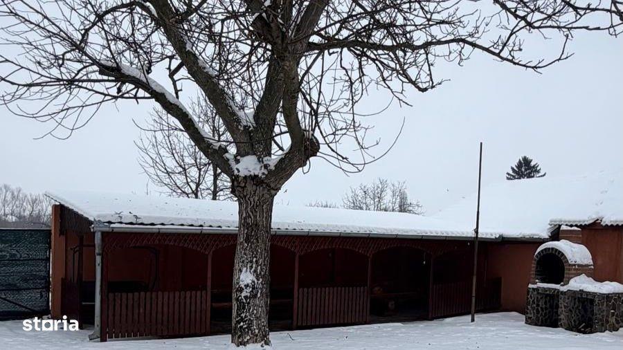 Casa + sediu firma investitie in Diosig cu teren generos - 5