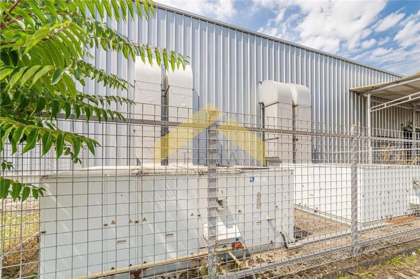 Hala de 8,560mp de vanzare in zona Micalaca - 15