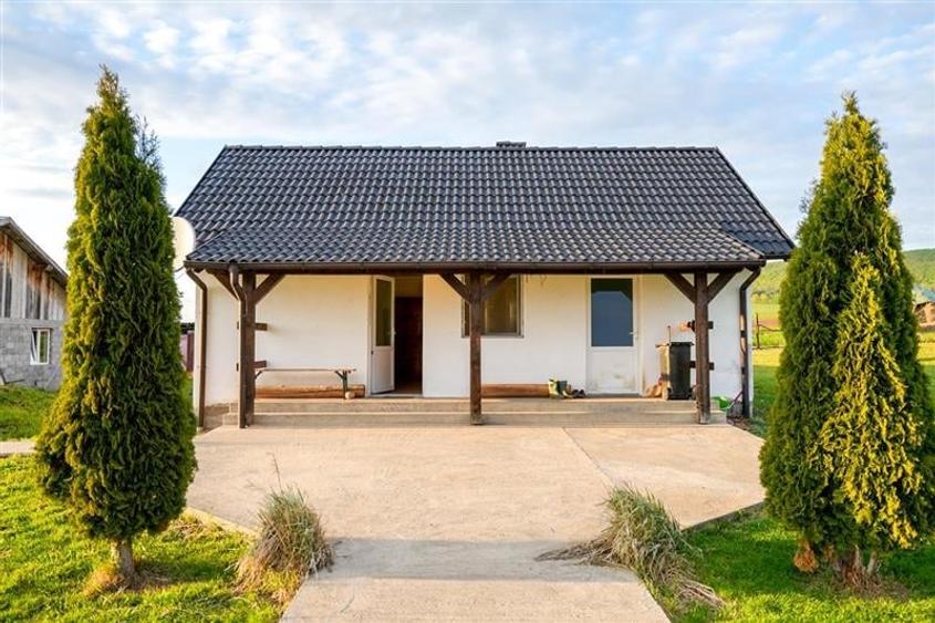 Film&Tur! Domeniu pe 222.000mp+ Ferma +Anexe specifice+Constructie+
rezidential - 4