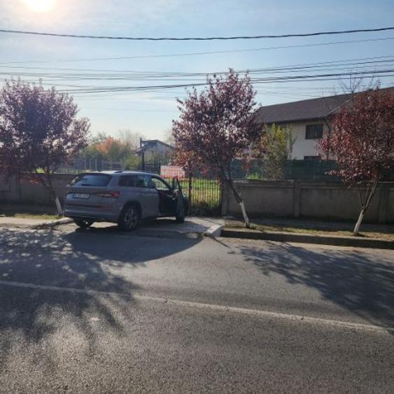 Teren Cernica - vedere spre lac si via a vis de padure - 1