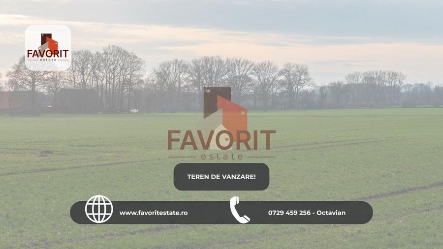 Teren in Sacalaz | Toate utilitatile | Cu proiect  | Casa Indiv | - 1