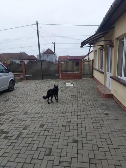 Vand casa in Alunis - 2