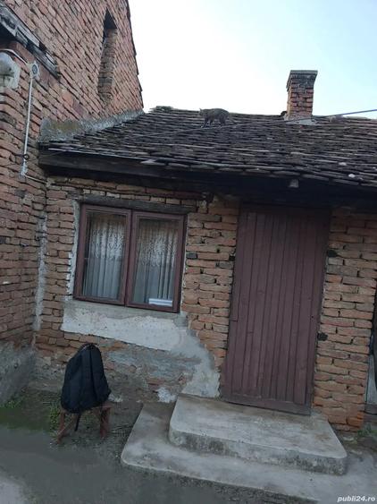 Se vinde in ?ibot - 3