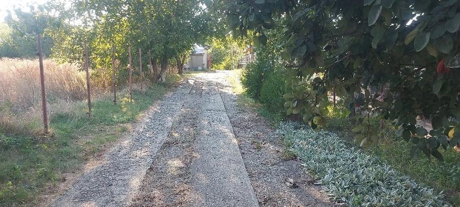 Teren de 450 mp, în Central