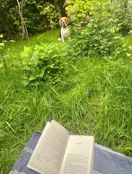 2 camere parter - acces gradina Floreasca - Garibaldi - Verdi - 11