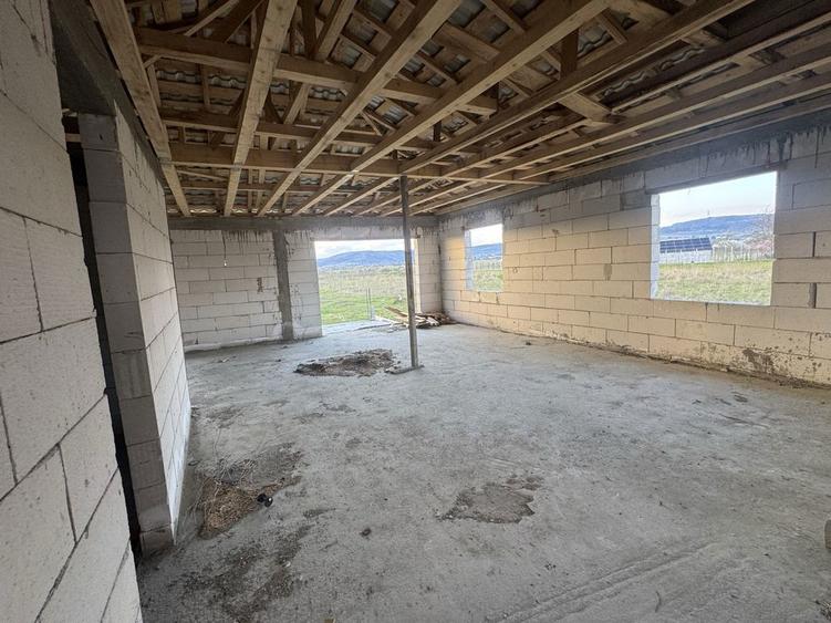 Casa de vanzare stefanesti langa muzeu - 7