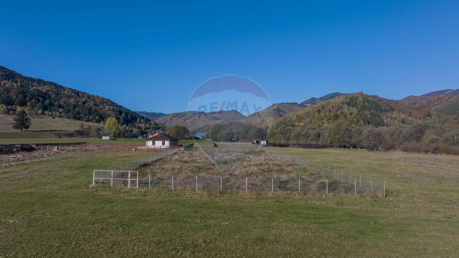 Teren cu priveliste de vis si curent trifazic - Plaiul Foii - 4