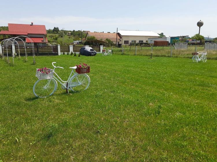 Somcuta Mare intravilan 1500 mp - 5