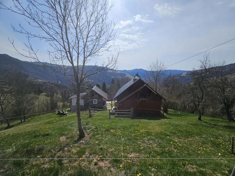 Inchiriez casa in Albac Jud Alba - 2