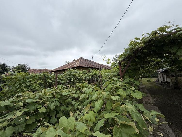 Casa cu teren la 50 km de Bucuresti | Uliesti Dambovita - 8