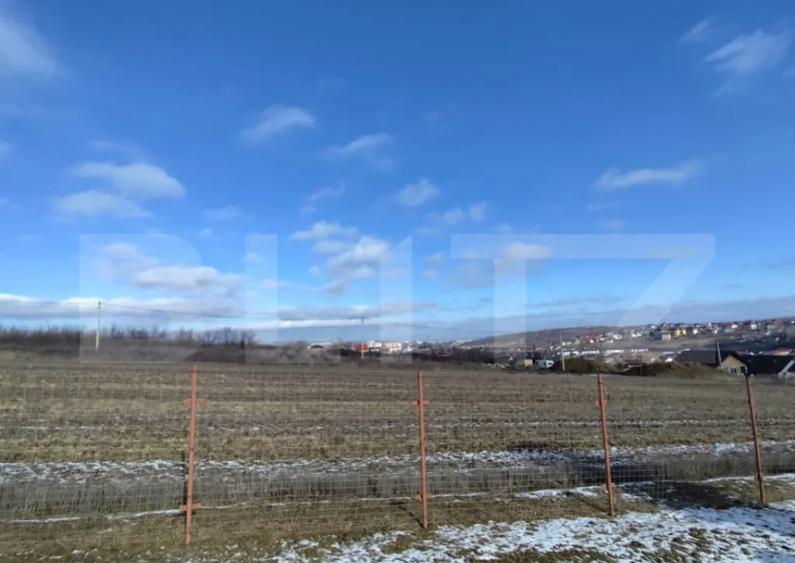 Teren intravilan cu cabana, 700mp, Ciurea - 3
