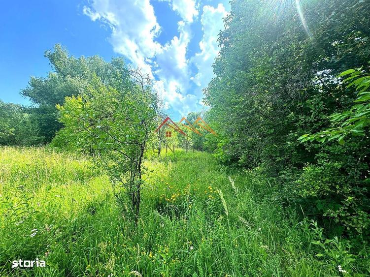 Teren 2037 mp, 17 ml deschidere, 28 euro/m2, vedere panoramica - 1