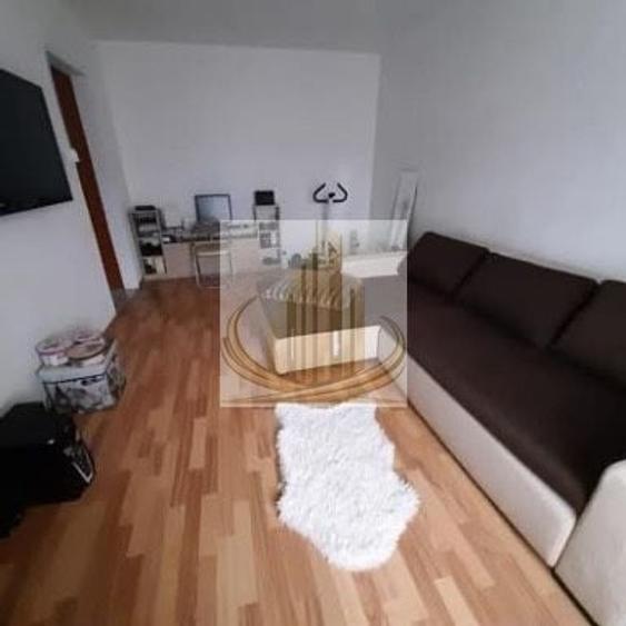 Oportunitate! Apartament 1 cameră, renovat, mobilat – Lipov langa Lidl - 5